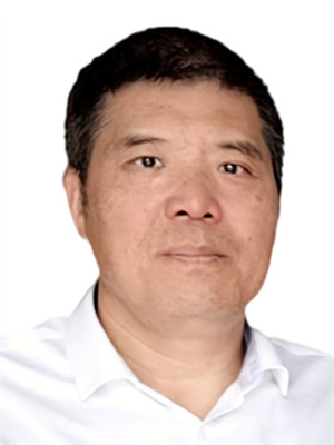 蓝文辉，副总裁，教授级高工