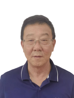 史衍磊，总工程师，高工